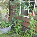 Bruiler Hof Bed & Breakfast