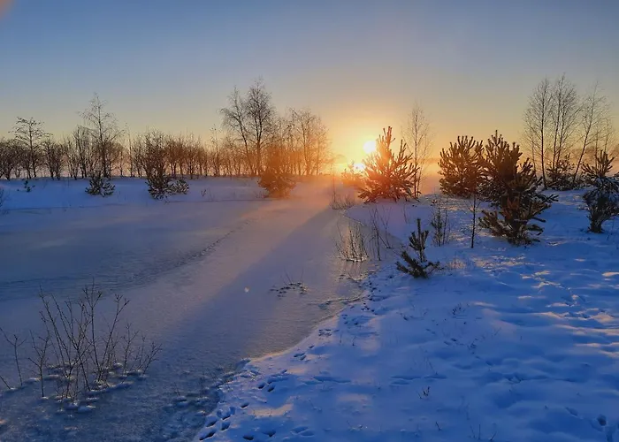 Bed & Breakfast Bruiler Hof