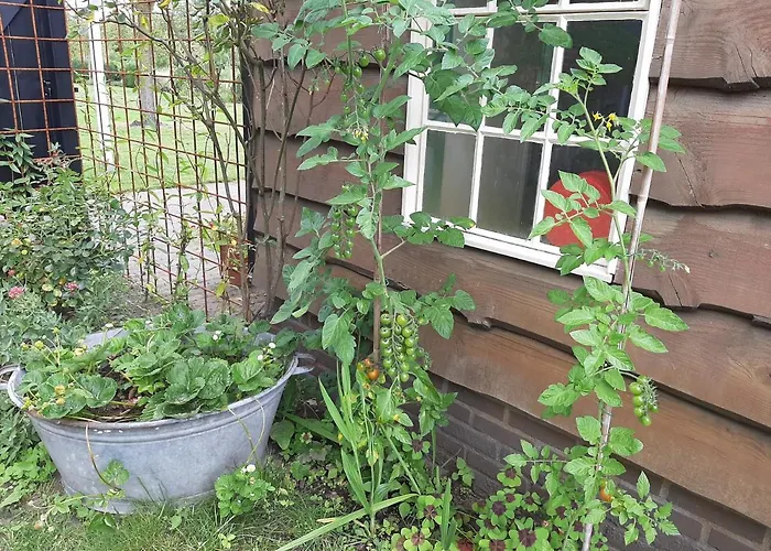 Bruiler Hof Bed & Breakfast