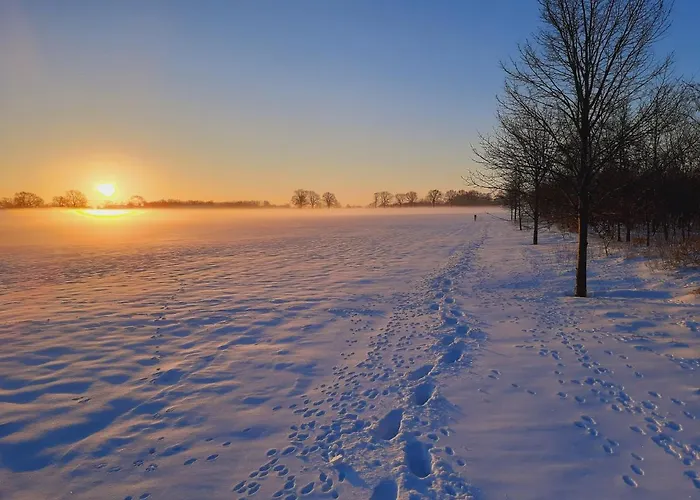 Bed & Breakfast Bruiler Hof Ruurlo